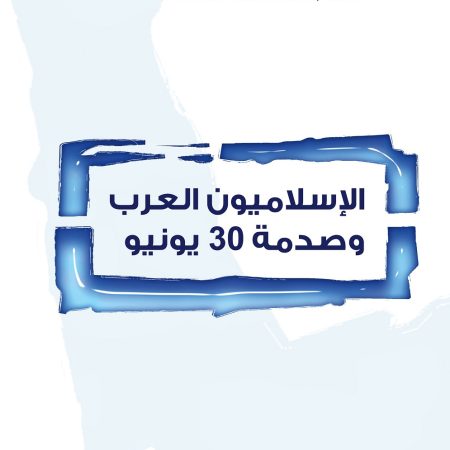 الإسلاميون العرب وصدمة 30 يونيو